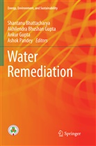 Shantanu Bhattacharya, Akhilendr Bhushan Gupta, Akhilendra Bhushan Gupta, Akhilendra Bhushan Gupta, Ankur Gupta, Ankur Gupta et al... - Water Remediation