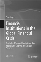 Shaofang Li - Financial Institutions in the Global Financial Crisis
