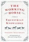 J. Prince-Sheldon, Various, Various. - The Working Horse - A Guide on Equestrian Knowledge with Information on Shire and Carriage Horses