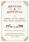 J. Prince-Sheldon, Various, Various. - Breeds and Breeding of Horses, Cattle, Sheep, Pigs, Goats and Poultry - With Particular Attention to Horses Including a Detailed Veterinary Section by L. H. Archer