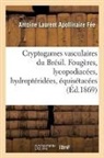 Fee-A L. A., Antoine Laurent Apollinaire Fée, Fee-a l a, Fee-A L. a., Auguste François Marie Glaziou - Cryptogames vasculaires du