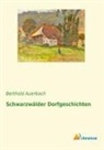 Berthold Auerbach - Schwarzwälder Dorfgeschichten
