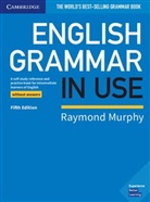 Raymond Murphy - English Grammar in Use, Fifth Edition - Book without answers