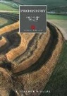 Mike Corbishley, Timothy Darvill, Mike Corbishley, Peter Stone - Prehistory