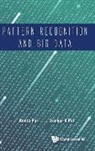 Pal Amita, Amita Pal &amp; Sankar K Pal, Pal Amita, Amita Pal, Sankar Kumar Pal - Pattern Recognition And Big Data