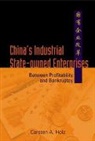 Holz Carsten A, Carsten A Holz, Carsten A Holz, Carsten A. Holz, Holz Carsten A - China's Industrial State-owned Enterprises: Between Profitability And Bankruptcy
