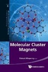Winpenny Richard, Richard Winpenny, Winpenny Richard, Richard Winpenny - Molecular Cluster Magnets
