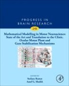 Mathematical Modelling in Motor Neuroscience: State of Art