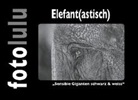 Fotolulu, fotolulu - Elefant(astisch)
