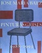 Aurora García García - José María Báez : pinturas grises 1988-1993