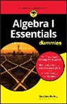 Mary Jane Sterling, Mary Jane (Bradley University Sterling, MJ Sterling, Sterling Mary Jane - Algebra I Essentials for Dummies