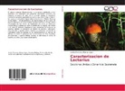 Carlos Francisco Porras López - Caracterizacion de Lactarius