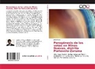 José Añazco - Paragénesis de las vetas en Minas Nuevas, distrito Portovelo-Zaruma