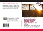 Irene Muñoz Espinosa, Rodrig Goycolea Martinic, Rodrigo Goycolea Martinic - Desafío Terapia Ocupacional en adolescentes infractores de ley Chile