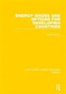 United Nations, United Nations - Energy Issues and Options for Developing Countries
