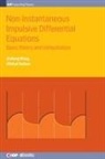 Fe&amp;, Michal Fe&amp;269;kan, Michal Feckan, Professor Michal (Comenius University in Bratislava) Feckan, Jinrong Wang, Professor JinRong (Guizhou University Wang - Non-Instantaneous Impulsive Differential Equations