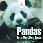 Baby - Pandas - Let's Meet Mrs. Huggs