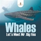 Baby - Whales - Let's Meet Mr. Big Fins