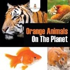 Baby - Orange Animals on the Planet