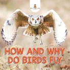 Baby - How and Why Do Birds Fly