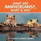 Baby - What Are Amphibians?, What & Why