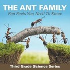 Baby - The Ant Family - Fun Facts You Need To Know
