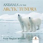 Baby - Animals of the Arctic Tundra
