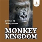 Baby - Monkey Kingdom