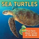 Baby - Sea Turtles