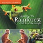 Baby - Animals of the Rainforest | Wildlife of the Jungle | Encyclopedias for Children
