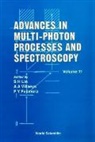 Alberto J Beswick, Alberto J. Beswick, Claude Dedonder-Lardeux, Yuichi Fujimura, Nadine Halberstadt, Christophe Jouvet... - Advances in Multi-Photon Processes and Spectroscopy, Volume 11