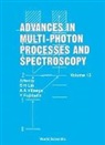 Marguerite Barzoukas, Mireille Blanchard-Desce, Yuichi Fujimura, Debabrata Goswami, Michael Gronager, Niels Engholm Henriksen... - Advances in Multi-Photon Processes and Spectroscopy, Volume 13