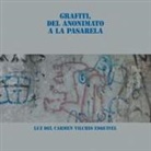 Luz del Carmen Vilchis Esquivel - Grafiti, del Anonimato a la Pasarela