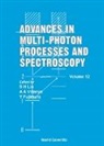 Minhaeng Cho, Yuichi Fujimura, Sheng-Hsien Lin, Yuxiang Mo, Gershon Rosenblum, Shammai Speiser... - Advances in Multi-Photon Processes and Spectroscopy, Volume 12
