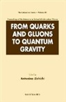 Antonino Zichichi, Antonino Zichichi - From Quarks and Gluons to Quantum Gravity - Proceedings of the International School of Subnuclear Physics