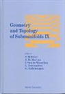 Ignace van de Woestyne, F Defever, F. Defever, Ignace Van De Woestyne, Jean-marie Morvan, Leopold Verstraelen... - Geometry And Topology Of Submanifolds Ix