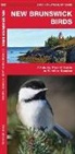 James Kavanagh, Raymond Leung, Leung Raymond Leung Raymond - New Brunswick Birds