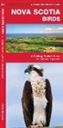 James Kavanagh, Raymond Leung, Leung Raymond Leung Raymond - Nova Scotia Birds
