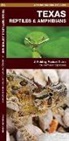 James Kavanagh, Raymond Leung, Leung Raymond Leung Raymond - Texas Reptiles & Amphibians
