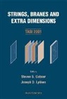 Steven S Gubser, Steven S. Gubser, Joseph D Lykken, Joseph D. Lykken - Strings, Branes and Extra Dimensions (Tasi 2001)
