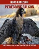 Hugo Panizzon - Peregrine Falcon: Amazing Photos & Fun Facts Book about Peregrine Falcon for Kids
