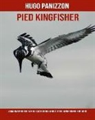 Hugo Panizzon - Pied Kingfisher: Amazing Photos & Fun Facts Book about Pied Kingfisher for Kids