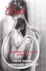 Cesar Gabriel Rodriguez Ordonez - Areli: Las Grietas de Una Mente Adolescente