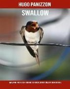 Hugo Panizzon - Swallow: Amazing Photos & Fun Facts Book about Swallow for Kids
