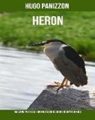 Hugo Panizzon - Heron: Amazing Photos & Fun Facts Book about Heron for Kids