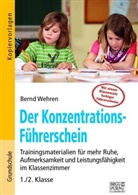 Bernd Wehren - Der Konzentrations-Führerschein