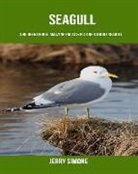 Jerry Simone - Childrens Book: Amazing Facts & Pictures about Seagull