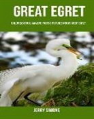 Jerry Simone - Childrens Book: Amazing Facts & Pictures about Great Egret