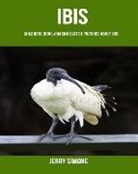 Jerry Simone - Childrens Book: Amazing Facts & Pictures about Ibis