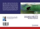 Johannes Amutenya - A perceptive study of the ex-combatant officers on the level of person